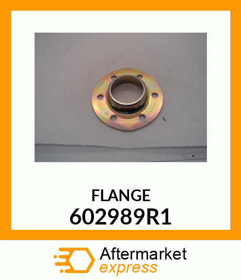 FLANGE 602989R1