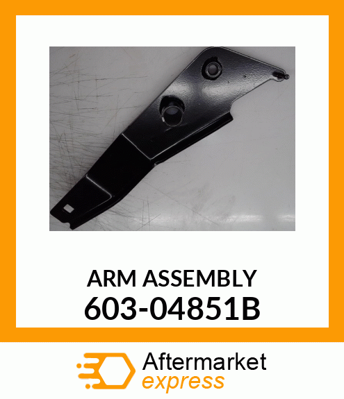 ARM_ASSEMBLY 603-04851B