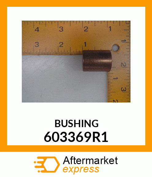 BUSHING 603369R1