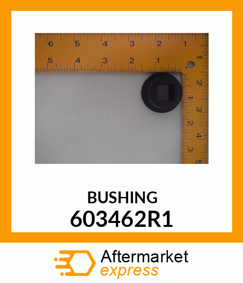 BUSHING 603462R1