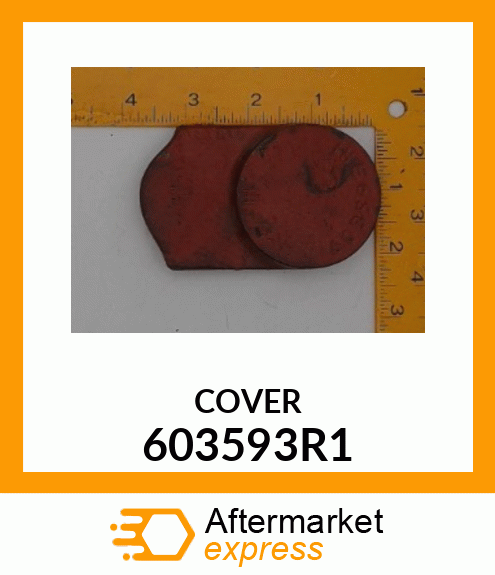 COVER 603593R1