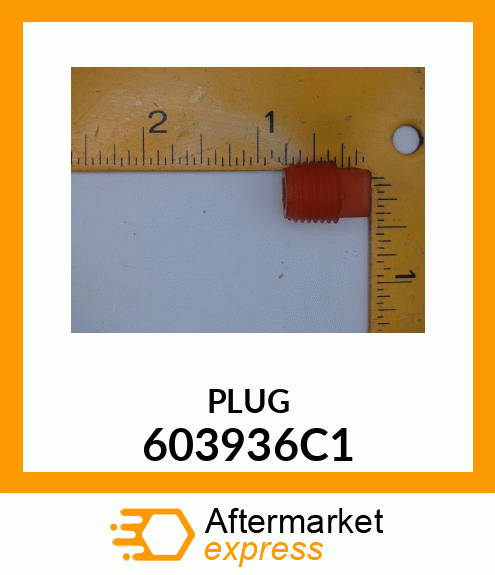 PLUG 603936C1