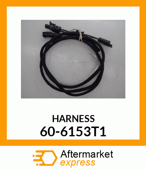 HARNESS 60-6153T1