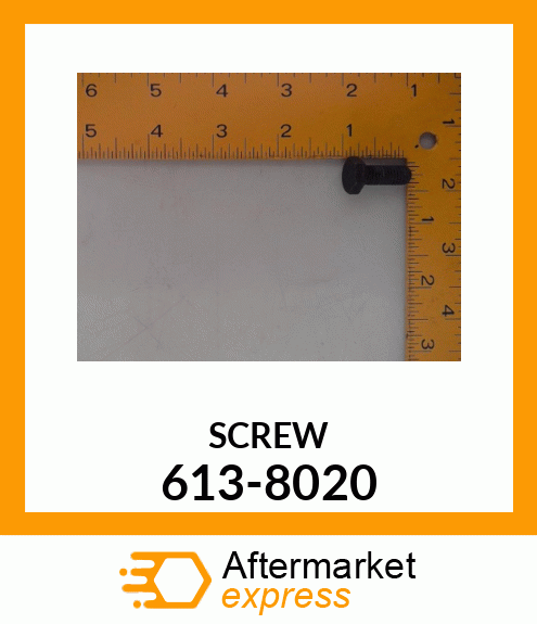 SCREW 613-8020