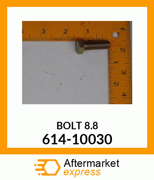 BOLT8.8 614-10030