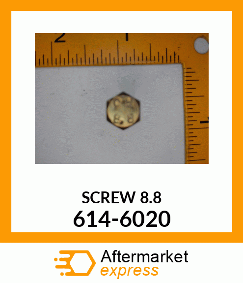 SCREW8.8 614-6020