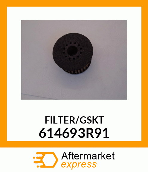 FILTER 614693R91