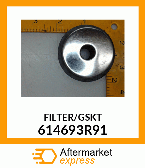 FILTER 614693R91