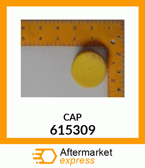 CAP 615309