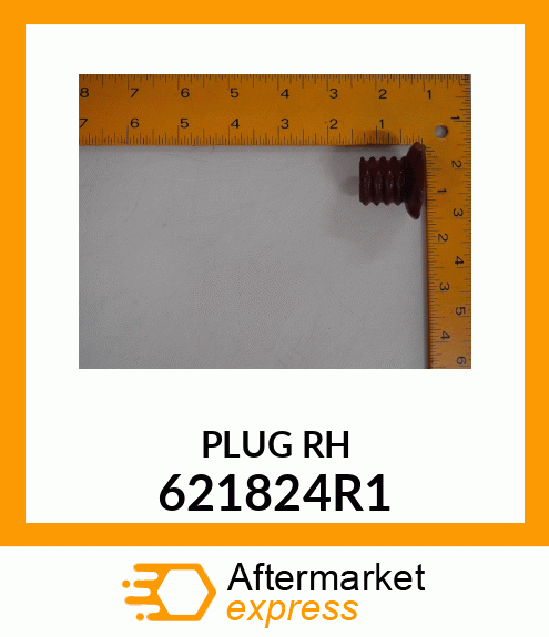 PLUG 621824R1