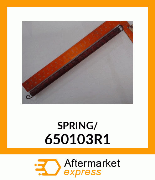 SPRING\ 650103R1