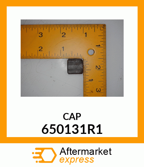 CAP 650131R1