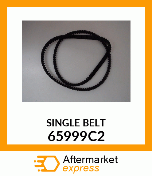 SINGLE_BELT 65999C2