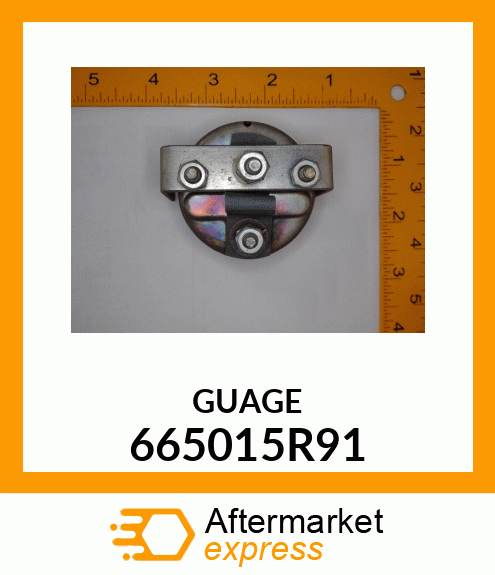 GUAGE 665015R91