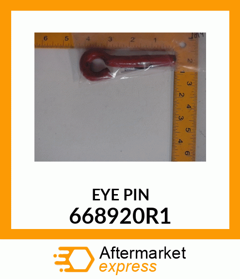 EYEPIN 668920R1