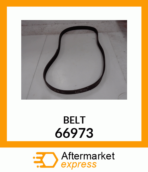 BELT 66973