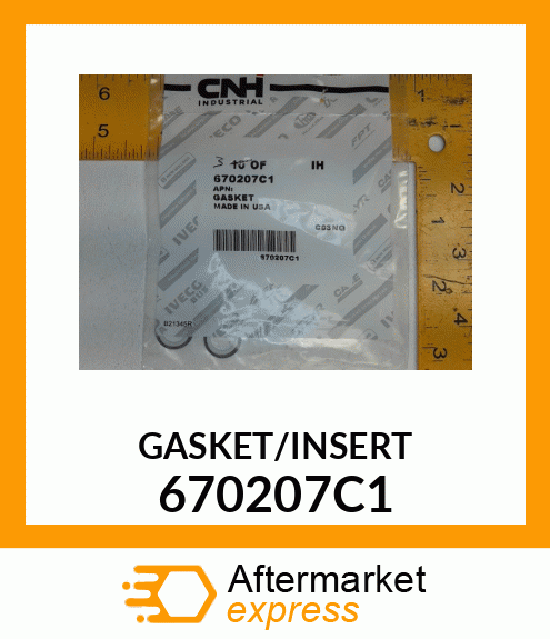 GASKET_W/INSERT 670207C1