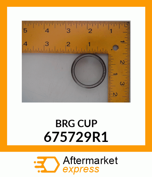 BRGCUP 675729R1