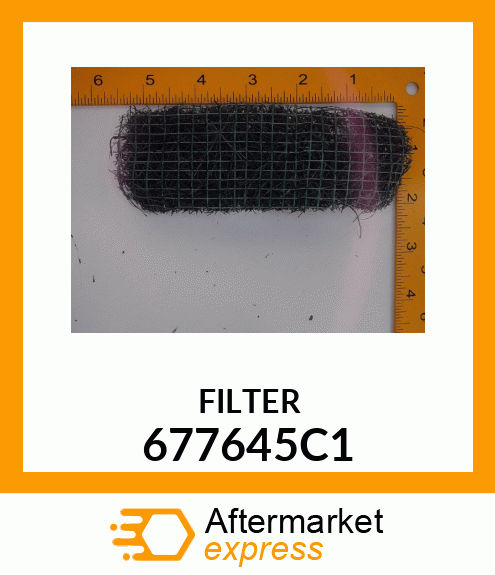 FILTER 677645C1