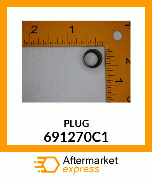 PLUG 691270C1