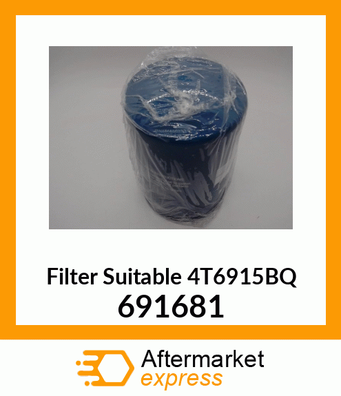 FILTER 691681