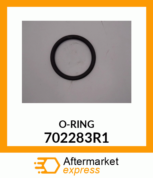 ORING 702283R1