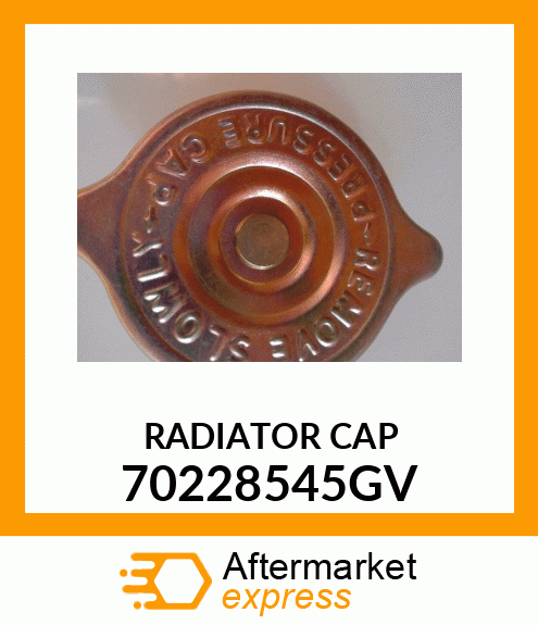 RADIATOR_CAP 70228545GV