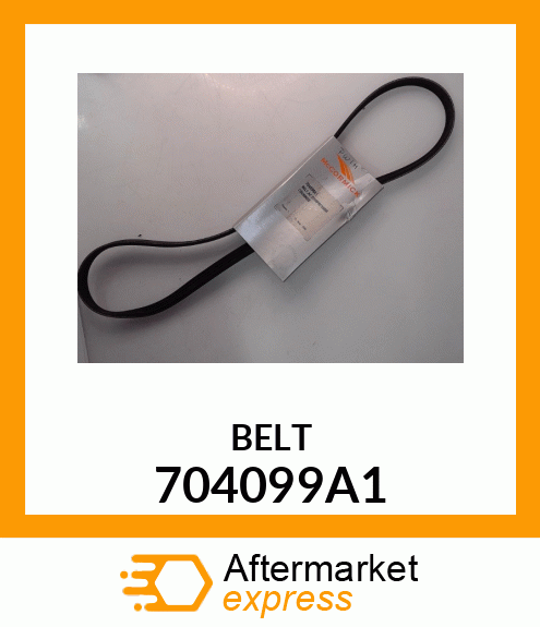 BELT 704099A1