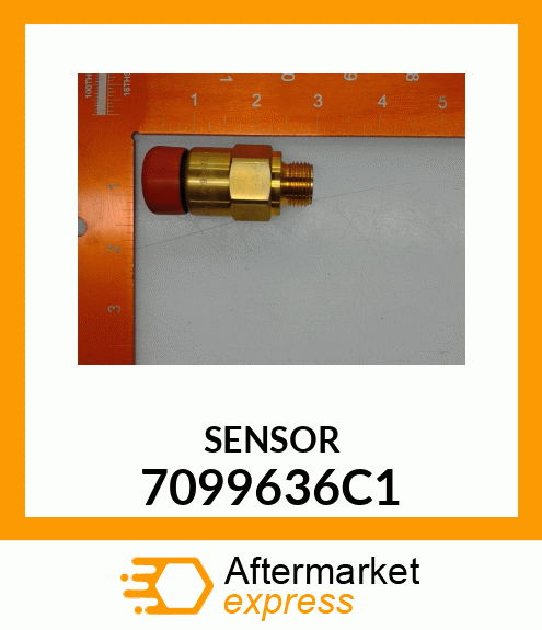 SENSOR 7099636C1