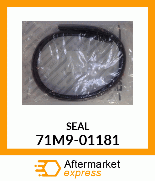 SEAL 71M9-01181