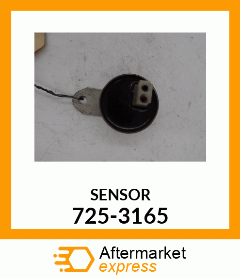 SENSOR 725-3165