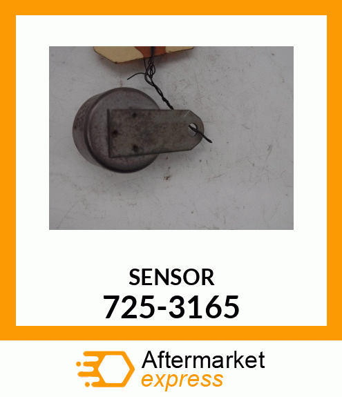 SENSOR 725-3165