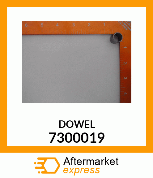 DOWEL 7300019