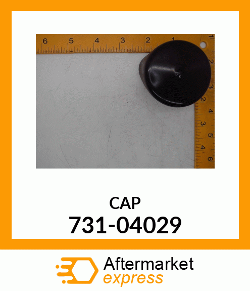 CAP 731-04029