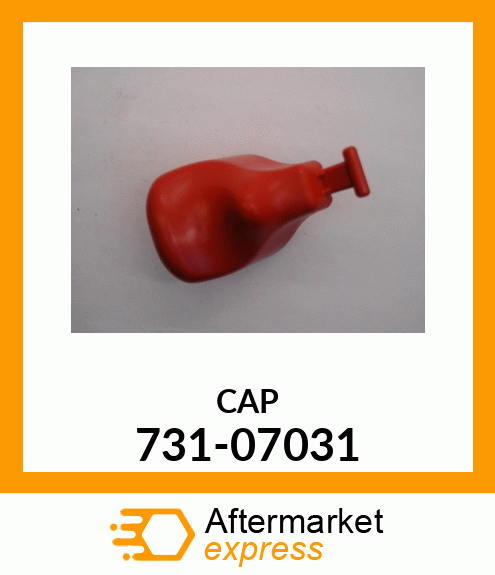 CAP 731-07031