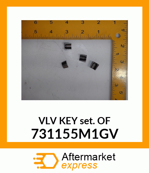 VALVERETAINER 731155M1GV