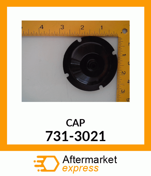 CAP 731-3021