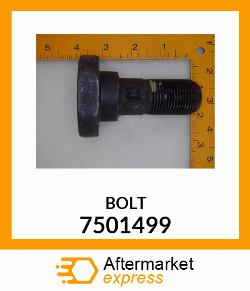 BOLT 7501499