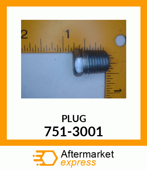 PLUG 751-3001