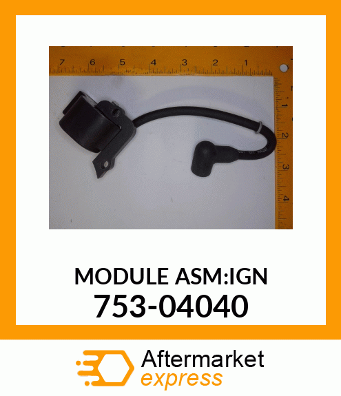 MODULE_ASM:IGN_ 753-04040