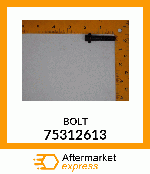 BOLT 75312613