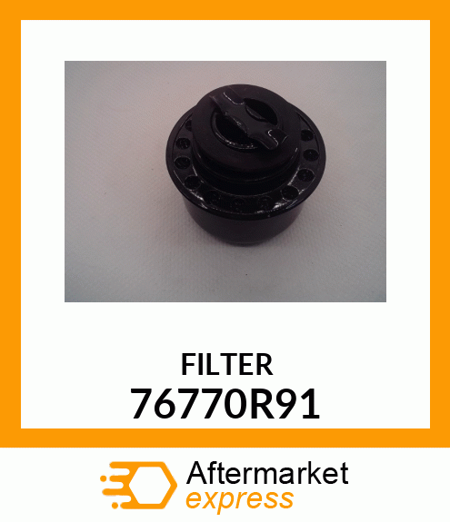 FILTER 76770R91