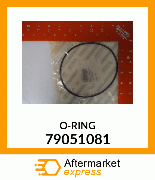 O-RING 79051081