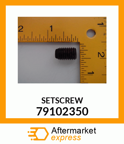 SETSCREW 79102350