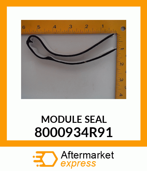 MODULE_SEAL 8000934R91