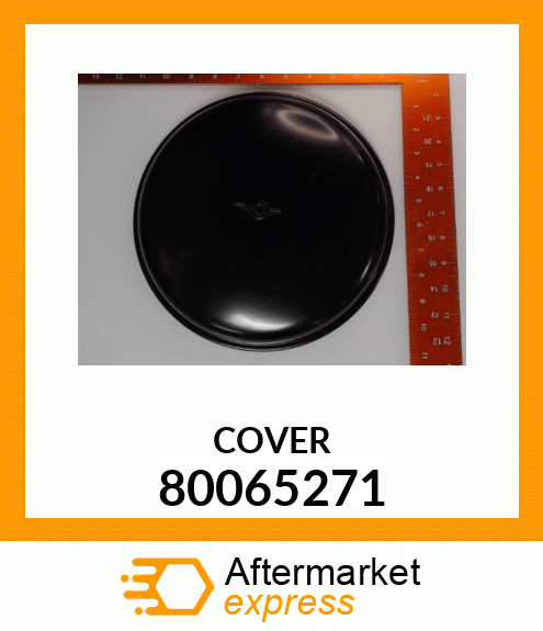 COVER 80065271