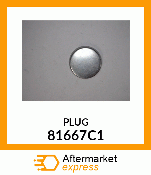 PLUG 81667C1