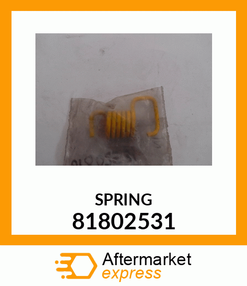 SPRING 81802531