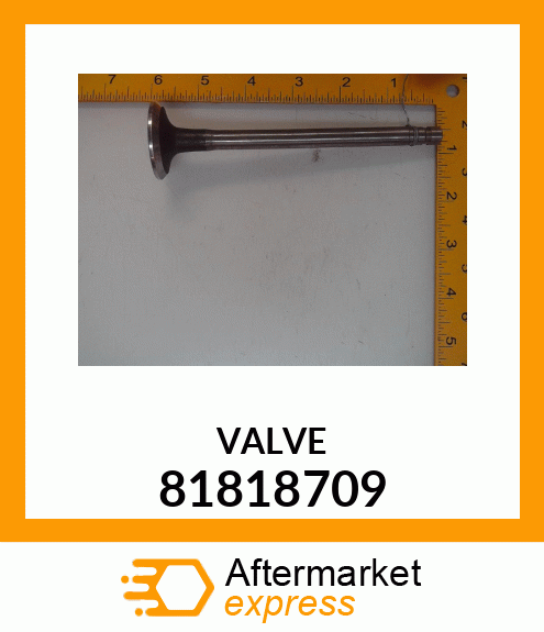 VALVE 81818709