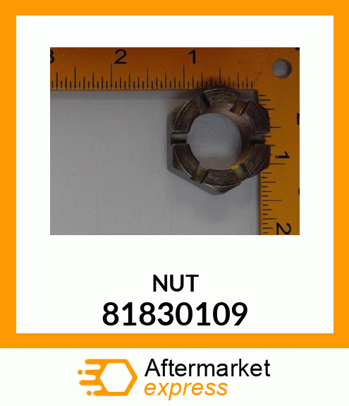 NUT 81830109